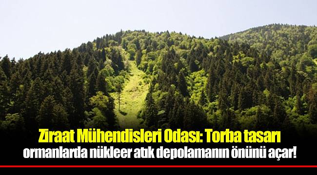 Ziraat Mühendisleri Odası: Torba tasarı ormanlarda nükleer atık depolamanın önünü açar!
