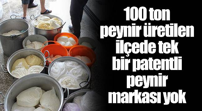 100 ton peynir üretilen ilçede tek bir patentli peynir markası yok