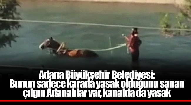 Adana Büyükşehir Belediyesi: Bunun sadece karada yasak olduğunu sanan çılgın Adanalılar var, kanalda da yasak