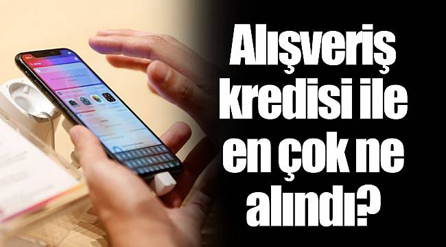 Alışveriş kredisi ile en çok ne alındı?