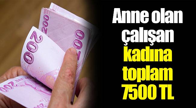 Anne olan çalışan kadına toplam 7500 TL