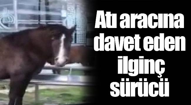 Atı aracına davet eden ilginç sürücü