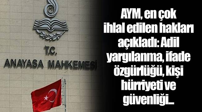 AYM, en çok ihlal edilen hakları açıkladı: Adil yargılanma, ifade özgürlüğü, kişi hürriyeti ve güvenliği...