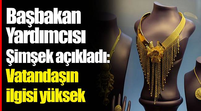 Başbakan Yardımcısı Şimşek açıkladı: Vatandaşın ilgisi yüksek
