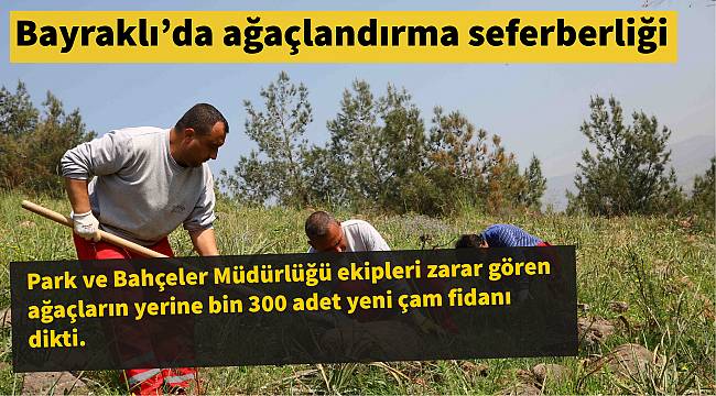 Bayraklı’da ağaçlandırma seferberliği
