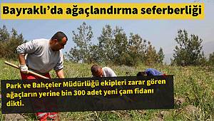 Bayraklı’da ağaçlandırma seferberliği