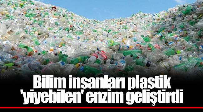 Bilim insanları plastik 'yiyebilen' enzim geliştirdi