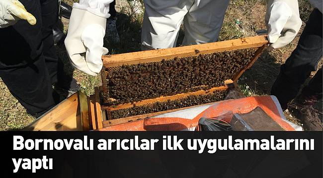 Bornovalı arıcılar ilk uygulamalarını  yaptı