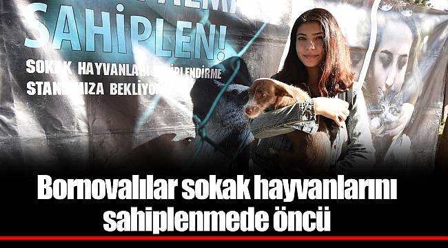 Bornovalılar sokak hayvanlarını sahiplenmede öncü