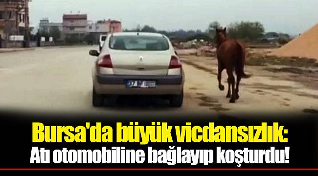 Bursa'da büyük vicdansızlık: Atı otomobiline bağlayıp koşturdu!