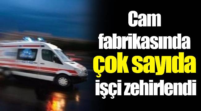 Cam fabrikasında çok sayıda işçi zehirlendi