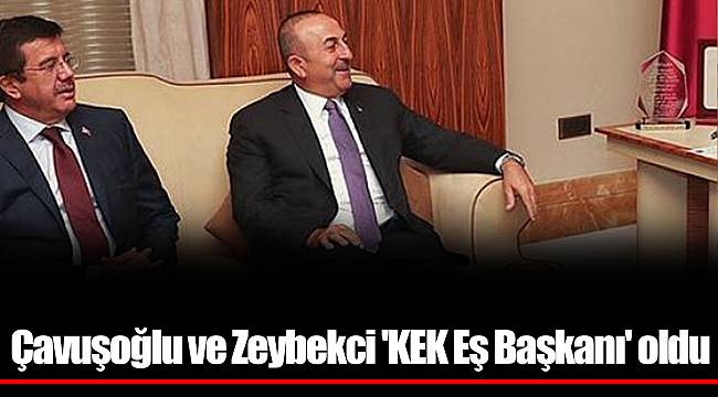 Çavuşoğlu ve Zeybekci 'KEK Eş Başkanı' oldu