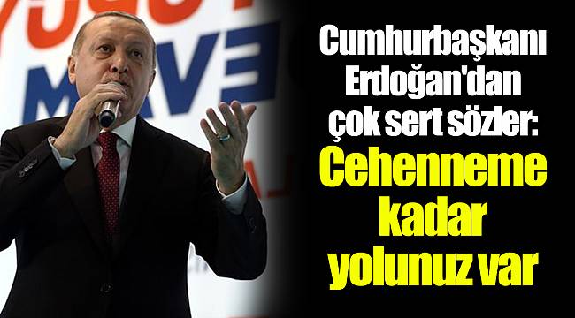 Cumhurbaşkanı Erdoğan'dan çok sert sözler: Cehenneme kadar yolunuz var