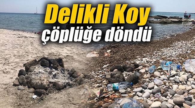 Delikli Koy çöplüğe döndü