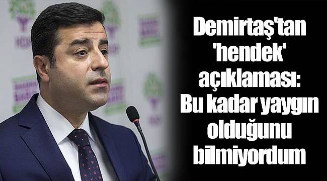 Demirtaş'tan 'hendek' açıklaması: Bu kadar yaygın olduğunu bilmiyordum