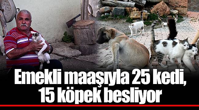 Emekli maaşıyla 25 kedi, 15 köpek besliyor