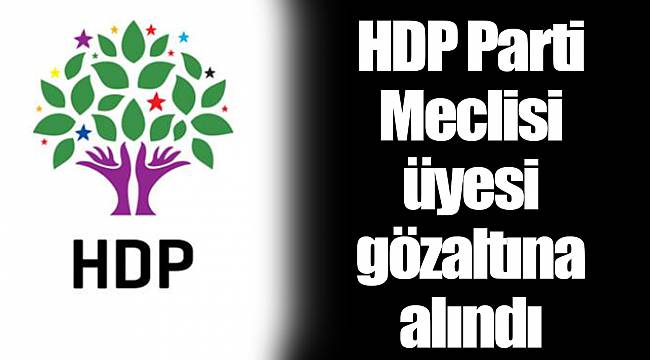 HDP Parti Meclisi üyesi gözaltına alındı
