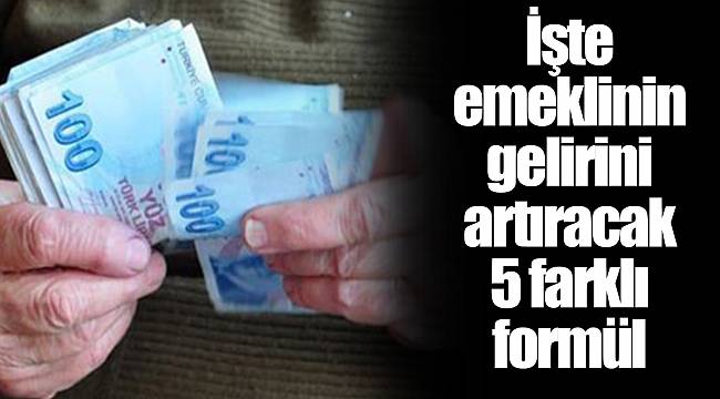 İşte emeklinin gelirini artıracak 5 farklı formül
