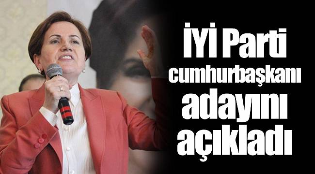 İYİ Parti cumhurbaşkanı adayını açıkladı