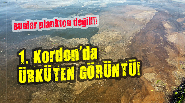 İZMİR KÖRFEZİNDE ÜRKÜTEN GÖRÜNTÜ