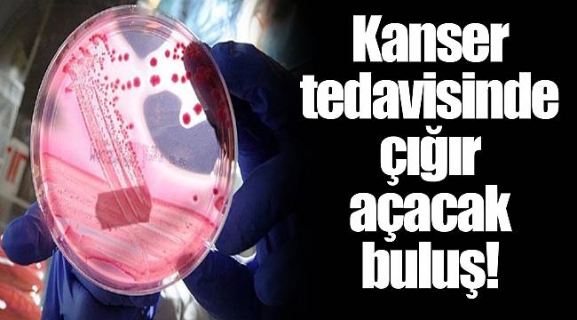 Kanser tedavisinde çığır açacak buluş!