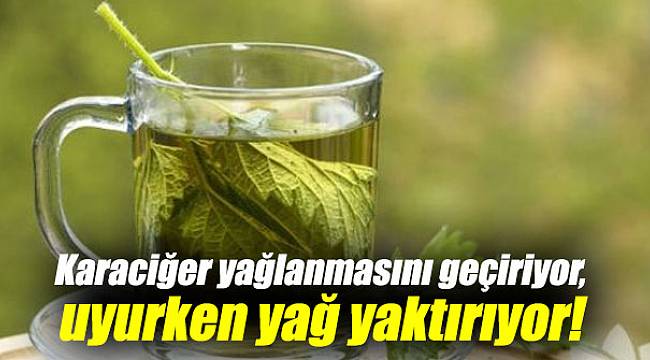 Karaciğer yağlanmasını geçiriyor, uyurken yağ yaktırıyor! İşte o karışım...