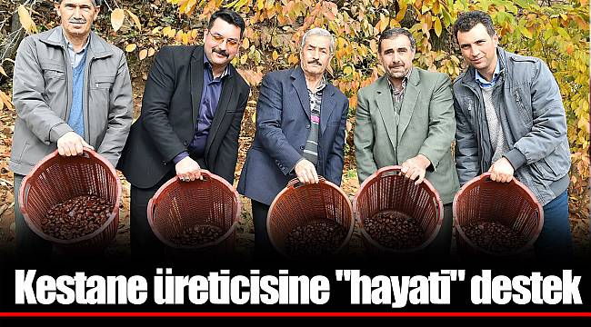 Kestane üreticisine "hayati" destek