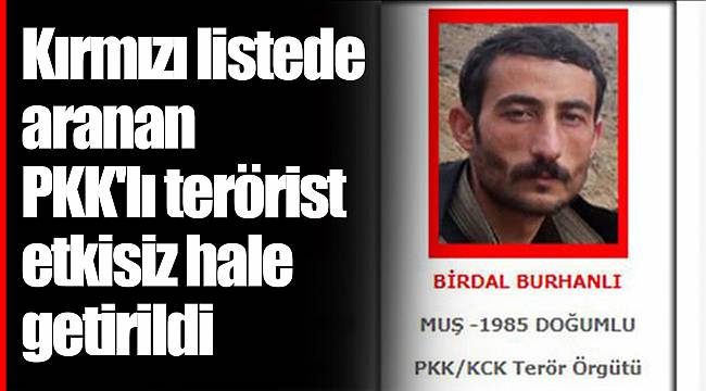 Kırmızı listede aranan PKK'lı terörist etkisiz hale getirildi