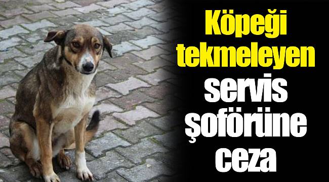 Köpeği tekmeleyen servis şoförüne ceza