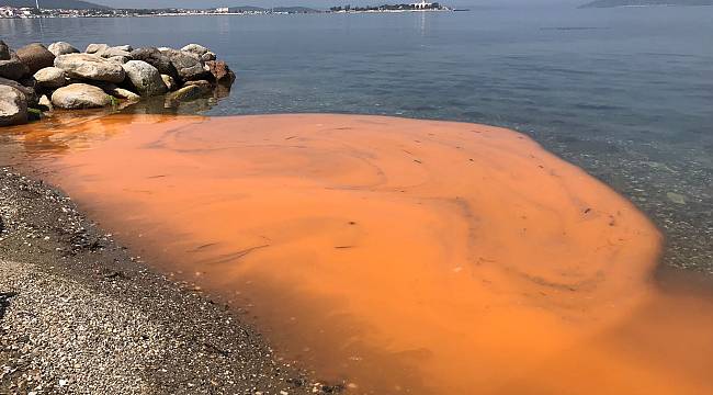 Korkutan görüntü! Urla'da kıyı turuncuya büründü