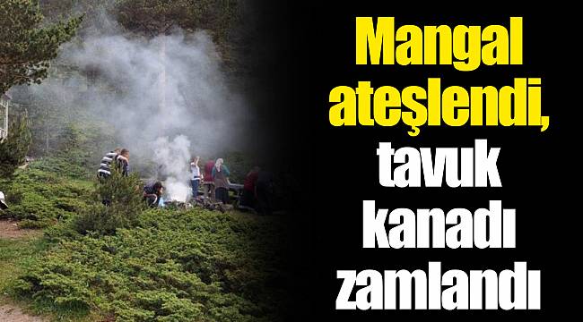 Mangal ateşlendi, tavuk kanadı zamlandı
