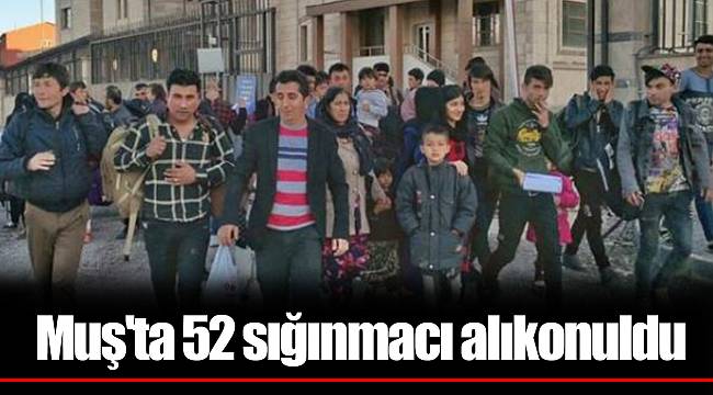 Muş'ta 52 sığınmacı alıkonuldu