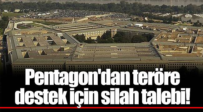 Pentagon'dan teröre destek için silah talebi!
