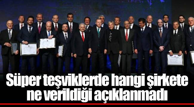 Süper teşviklerde hangi şirkete ne verildiği açıklanmadı
