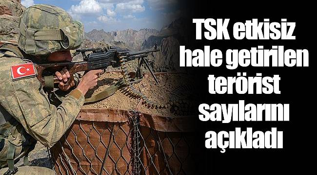 TSK etkisiz hale getirilen terörist sayılarını açıkladı