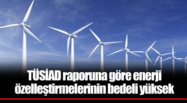 TÜSİAD raporuna göre enerji özelleştirmelerinin bedeli yüksek