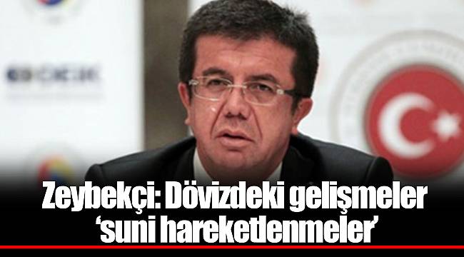 Zeybekçi: Dövizdeki gelişmeler 'suni hareketlenmeler'