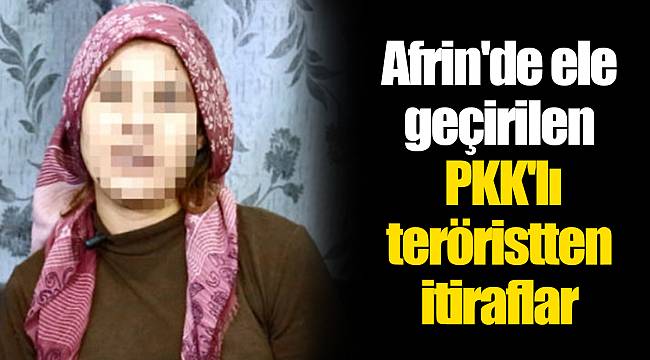 Afrin'de ele geçirilen PKK'lı teröristten itiraflar
