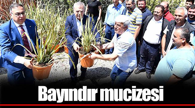 Bayındır mucizesi