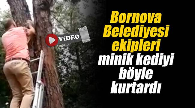 Bornova Belediyesi ekipleri minik kediyi böyle kurtardı
