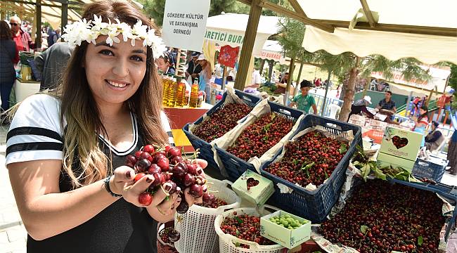 Bornova’da Kiraz Festivali coşkusu 3 gün sürecek