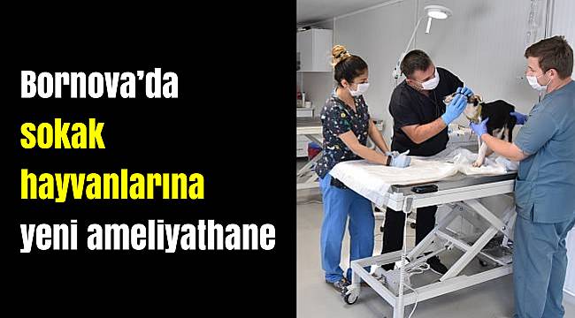 Bornova’da sokak hayvanlarına yeni ameliyathane