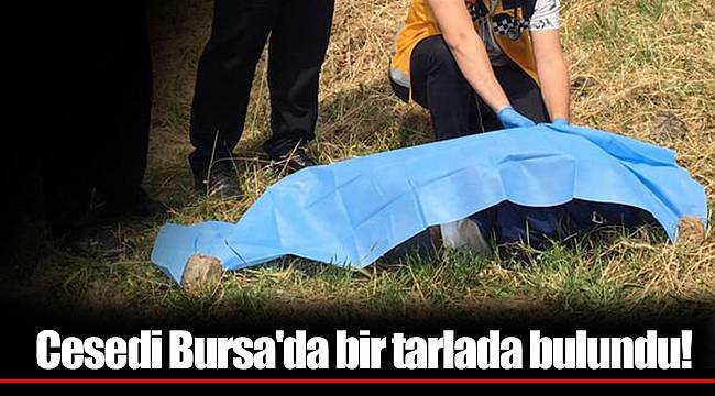 Cesedi Bursa'da bir tarlada bulundu!