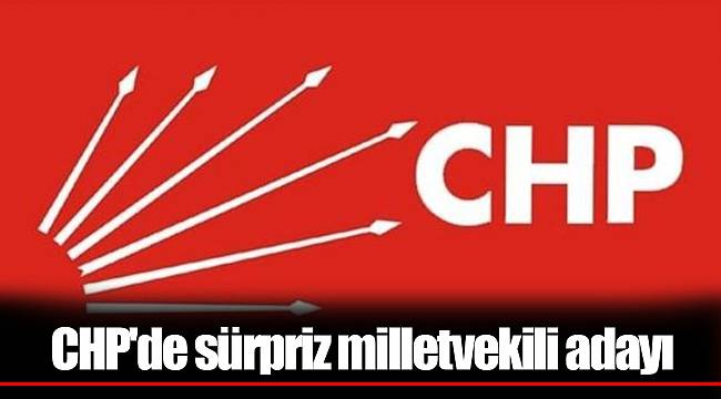 CHP'de sürpriz milletvekili adayı