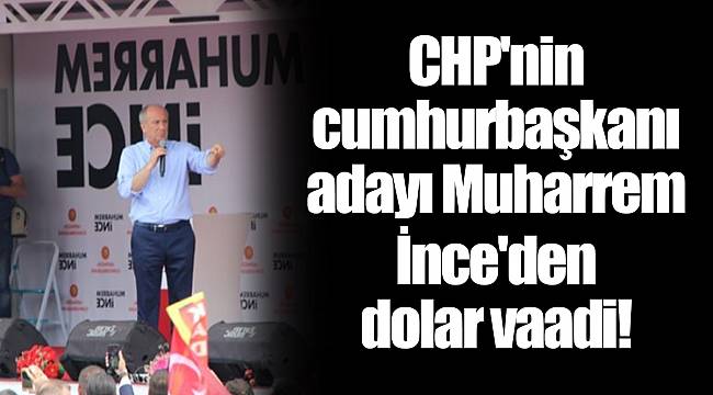 CHP'nin cumhurbaşkanı adayı Muharrem İnce'den dolar vaadi!