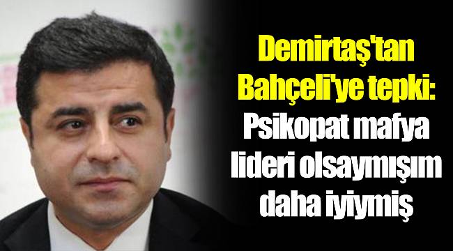 Demirtaş'tan Bahçeli'ye tepki: Psikopat mafya lideri olsaymışım daha iyiymiş