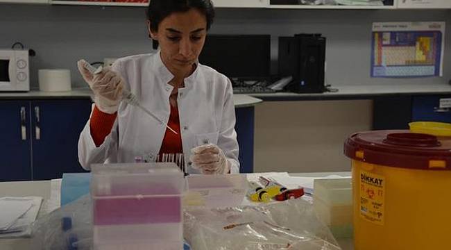 Diğer canlılardan karaciğer nakli için düğmeye basılıyor