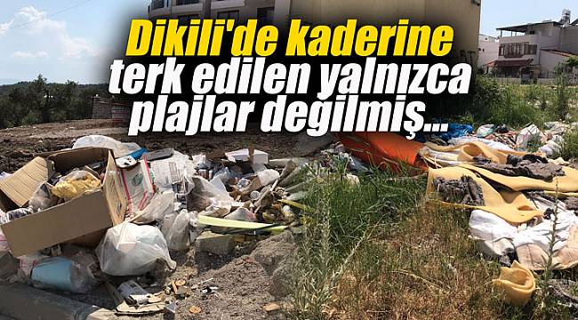 Dikili'de kaderine terk edilen yalnızca plajlar değilmiş...