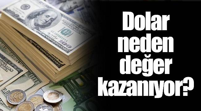 Dolar neden değer kazanıyor?