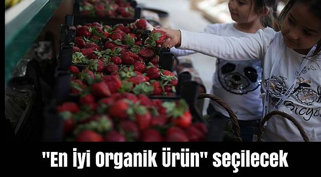 "En İyi Organik Ürün" seçilecek